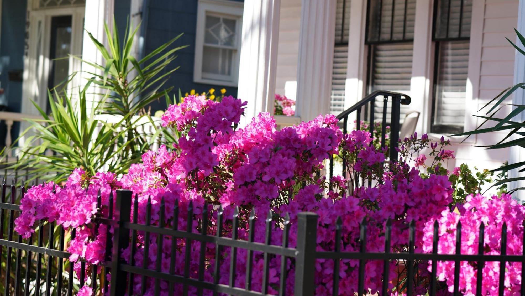 5 Bedroom Downtown Savannah Ga Екстер'єр фото